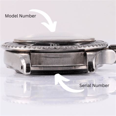 tudor watch serial number lookup